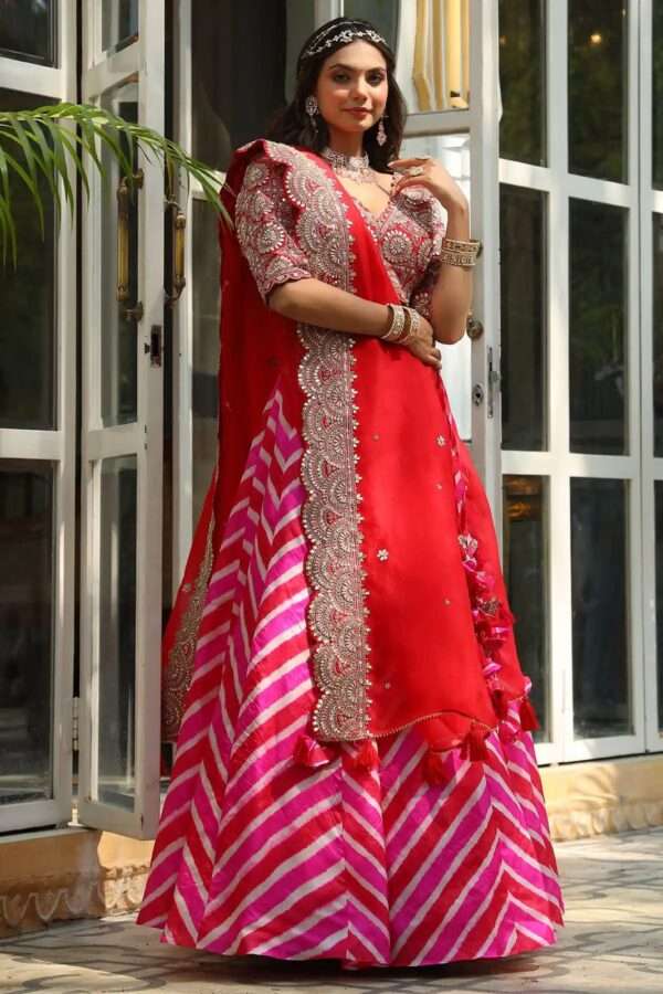 Ethnic Lehenga Choli - Image 3